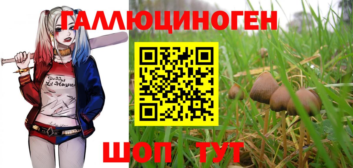как найти наркотики  Галлюциногенные грибы мицелий  Вход с VPN  Нижнекамск 